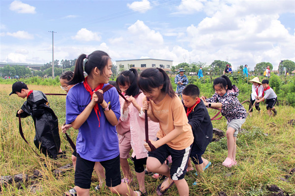 5edd0bc0-42ce-4018-a37f-edeef16572a6.jpg