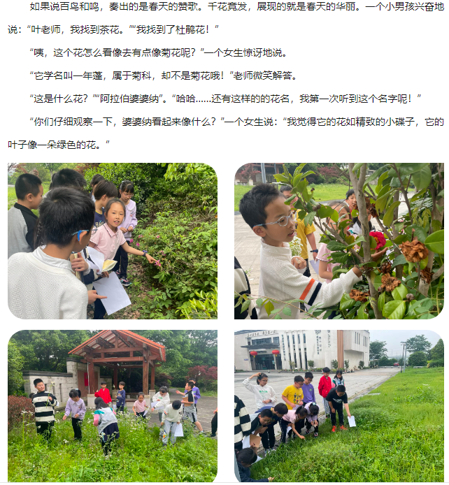 03231886-1f3c-4f63-9a27-8612e79ddc55.png