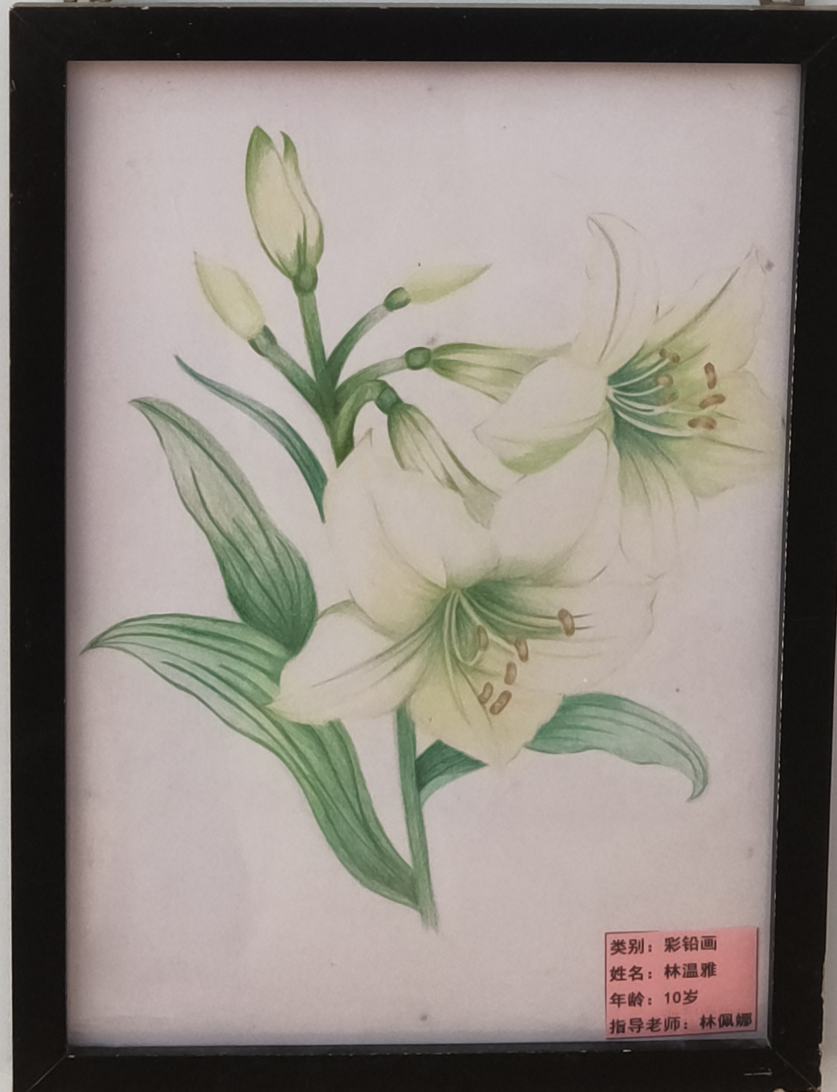 492dab8f-799e-4089-b842-113a63a0efb8.jpg