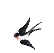 2f20d5d4-d1d5-4c5e-8829-dcbc6a160046.gif