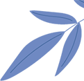 c79be47a-1e82-4cce-b2c0-673a0ff8b89e.png
