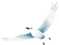 09577b81-9685-4edd-acb7-e5831acbcdc7.png