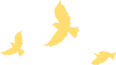5f24c398-0764-4d21-b3b6-0b8c868a649a.png