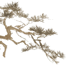 3bf6a0eb-3da7-4ffc-af44-b09f8aea713b.gif