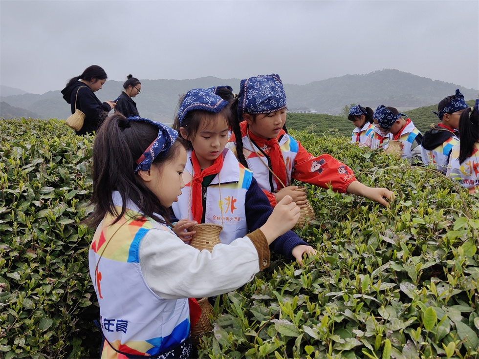 09a32aef-4893-4478-a0d8-0f1fe6c2caa6.jpg