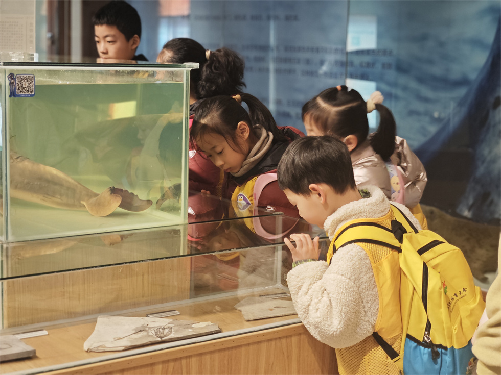 1422e1b3-3d80-4d47-a305-b1a79fffab2f.jpg 1422e1b3-3d80-4d47-a305-b1a79fffab2f.jpg